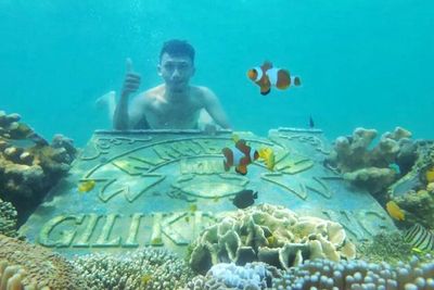 Bayar Rp100 Ribu, Bisa Snorkeling Bareng Ikan Nemo Sepuasnya!