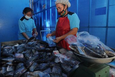 Produksi Makanan Beku Ikan Nila, Berikut Foto-fotonya
