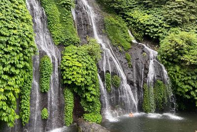 Bukan Pantai, Ini Hidden Gem di Bali yang Cocok Buat Cari Ketenangan