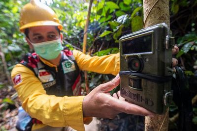 Pemasangan Kamera Trap di Kawasan Konservasi Musi Banyuasin, Ini Foto-fotonya