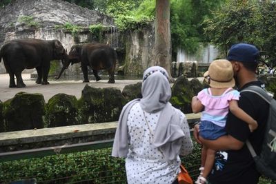 Dipadati Pengunjung, Pengelola Kebun Binatang Ragunan Pastikan Terapkan Prokes Ketat