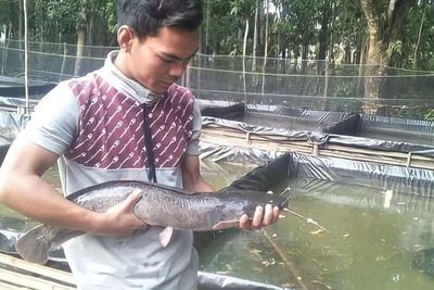 Ide Bisnis Menjanjikan! Modal Kecil dan Minim Risiko, Budi Daya Benih Lele