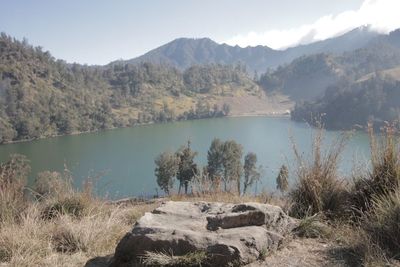 Favoritnya Para Pendaki! Ini Keindahan Gunung Semeru Sebelum Erupsi