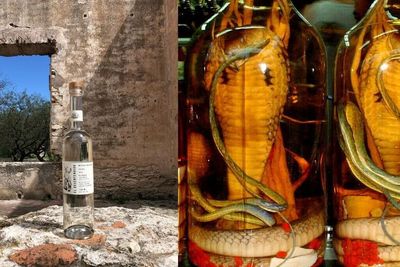 Sederet Minuman Paling Menjijikan di Dunia, Terbuat dari Daging Hewan hingga Air Mata Ikan