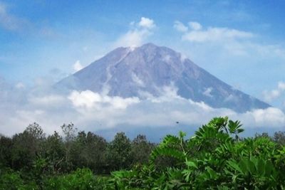 Melihat Kerajaan Kelelawar di Kaki Gunung Semeru