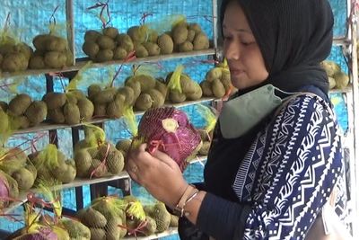 Di Daerah Sejuk Ini Sayur dan Buah Segar Dijual Serba Rp10 Ribu!