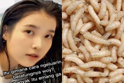 Heboh Belatung di Organ Intim Wanita, Ini Kata Dokter dan Cara Mengatasinya