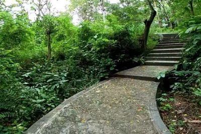 Efek Pandemi, Kebun Raya Ini Sepi Bak Kuburan