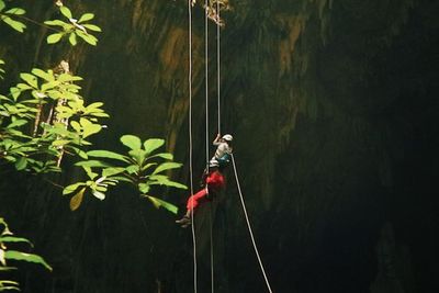 Toraja punya Gua Vertikal Sedalam 25 Meter! Cantik tapi Berbahaya!