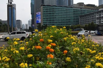 Ibu Kota Bakal Pindah, Ketua DPRD DKI Harap Jakarta Jadi seperti New York