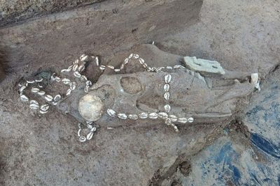 Rahasia Makam Kuno di China Terungkap, Pelayan Dikubur Hidup-hidup Demi Temani Majikan