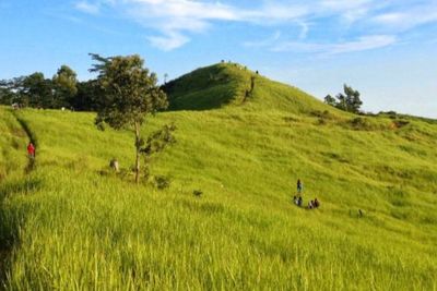 Cantiknya Bukit Alpha, Bukit Teletubbies Versi Balikpapan yang Terkenal Instagramable