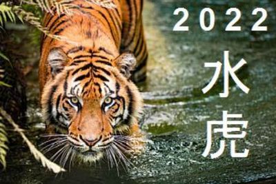 Imlek 2022 Disebut Tahun Macan Air, Apa Ya Maknanya?
