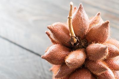 Selain Dagingnya, Kulit Salak juga Bermanfaat bagi Kesehatan