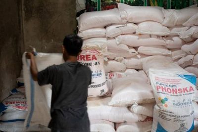 Bantah Soal Kelangkaan Pupuk Subsidi, Dinas Pertanian Simalungun: Itu Tidak Benar