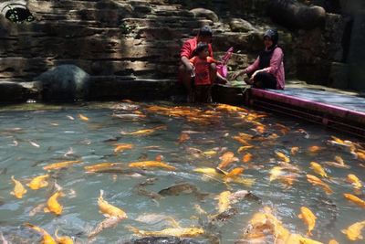 Mirip di Jepang! Wisata Sungai Jernih Viral, Dulunya Kanal Penuh Sampah!