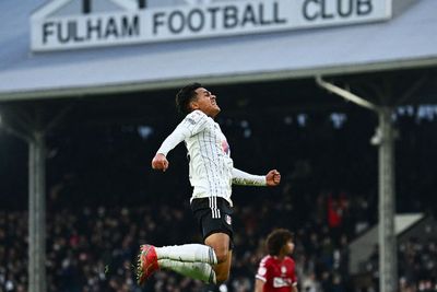 Kena Serangan Jantung di Tribun Stadion, Penggemar Fulham Meninggal Dunia