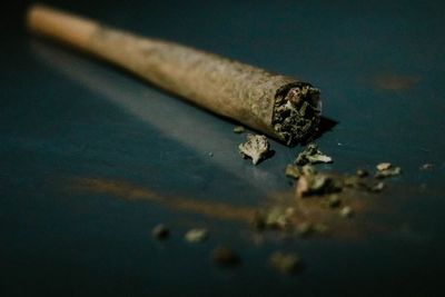 3 Kisah Aneh dari Sejarah Pemakaian Ganja, Salah Satunya Dianggap Bisa Meramal Cinta