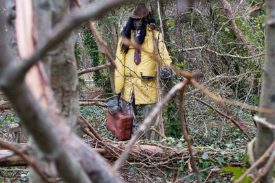 Misteri Sosok Mirip Zombie yang Terbengkalai di Hutan, Tak Ada Petunjuk Apapun