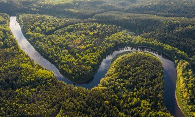 5 Hewan Paling Unik dan Mengerikan di Hutan Amazon yang Bikin Merinding!