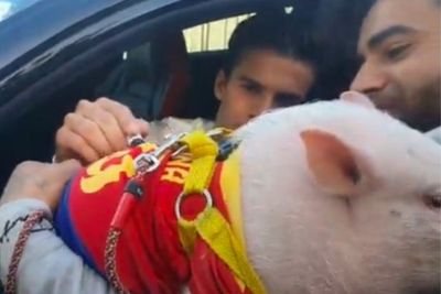 Nyeleneh! Fans Barcelona ini Cegat Riqui Puig Minta Tanda Tangani Babi