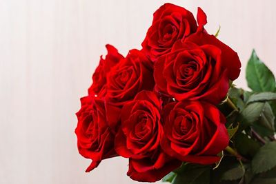 5 Bunga Melambangkan Cinta, Cocok Jadi Hadiah di Hari Valentine