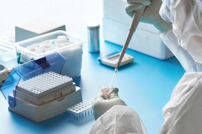 China Setujui Paxlovid Jadi Obat COVID-19, Diklaim Kurangi Angka Kematian