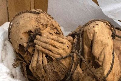 Arkeolog Menemukan Mumi Anakan di Peru, Diduga Menjadi Korban Ritual Menuju Alam Baka!