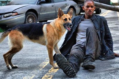 Kelanjutan dari Film I Am Legend Terbaru Sedang Dikembangkan Warner Bros