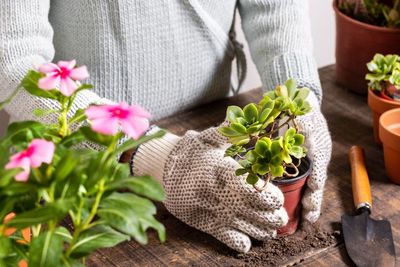 Suka Berkebun, Ini 4 Manfaatnya untuk Kesehatan Mental