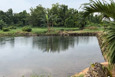 Pemandian Raja Sumenep Telantar Bak Tempat Uji Nyali, Butuh Perhatian Pemerintah!