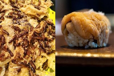 5 Olahan Serangga Paling Ekstrem di Dunia, Ada Peyek Laron dan Sushi Tawon, Tertarik Coba?