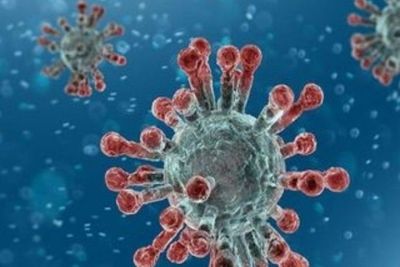 Perdalin Warning Masyarakat Diminta Jangan Remehkan Varian Omicron atau Fatal Akibatnya