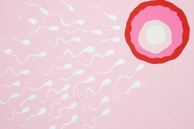Studi: Kondisi Tempat Tinggal Bisa Mempengaruhi Motilitas Sperma