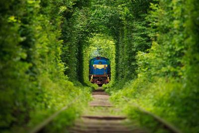 4 Tempat Wisata Paling Menakjubkan di Ukraina, Negara yang Sedang Perang dengan Rusia