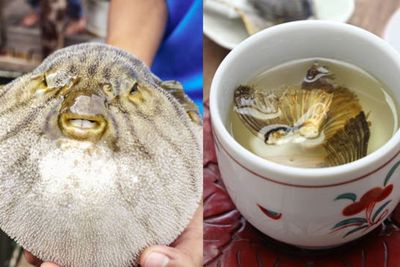 Gak Sembarangan, 4 Makanan Ini Terkenal Paling Sulit Dibuat, Chef Saja Harus Disertifikasi