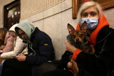 WNI Laporkan Situasi Ukraina saat Digempur Rusia: Terdengar Ledakan-ledakan di Atas Langit