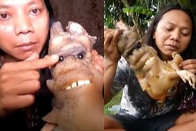 Rasa Makhluk Aneh yang Direbus dan Dimakan Dede Inoen, Ditangkap di Gorong-Gorong Sungai
