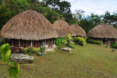 5 Keunikan Honai Rumah Adat Papua Suku Dani