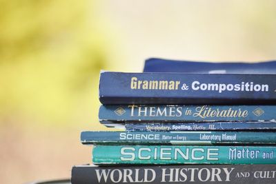 Rumus Simple Past Tense Lengkap dengan Contoh Kalimatnya