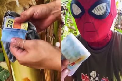 Setelah Salam dari Binjai , Muncul Pria Bertopeng Belah Batang Pohon Pisang Berisi Uang