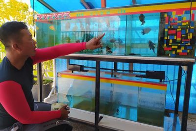 Awalnya Cuma Dikasih Teman, Polisi di Ponorogo Sukses Budidaya Ikan Louhan