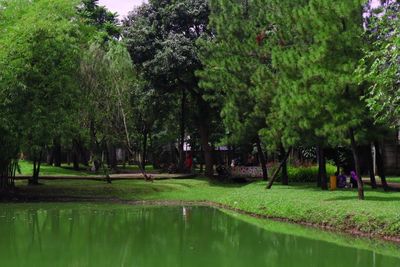 Ada Tempat Healing Murah di Pinggiran Jakarta, Cuma Modal Rp2 Ribu