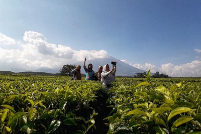 Indonesia Punya Kebun Teh Tertinggi Kedua di Dunia, Tehnya Diminum Ratu Inggris