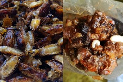 Ragam Olahan Unik dari Serangga, Ada Anak Capung Goreng hingga Botok Lebah, Tertarik Coba?