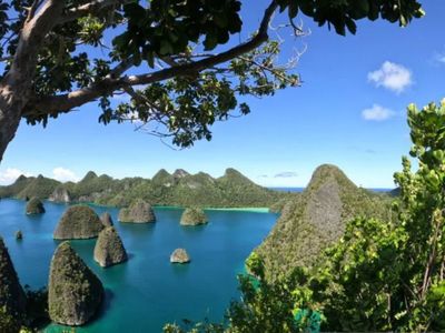 Terumbu Karang Rusak oleh Kapal Pinisi, Raja Ampat Berperan Vital di Episentrum Segitiga