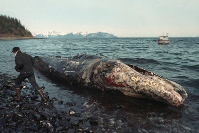 Tragedi 24 Maret: Tumpahan Minyak Exxon Valdez Jadi Bencana Buatan Manusia Terbesar
