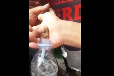 Heboh Video Penangkapan Tuyul saat Siang Hari di Cirebon