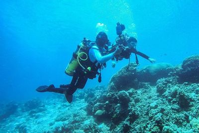 Wisata Diving di Ambon Mulai Menggeliat, Sudah Terima Pesanan Wisatawan Luar Negeri