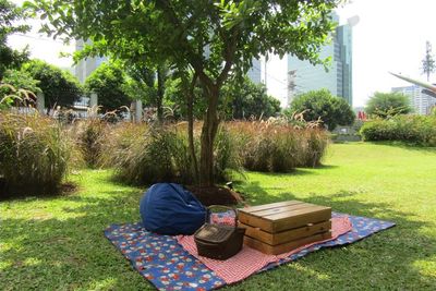 Viral! Piknik di Tengah Jakarta, Viewnya Gedung Tinggi dan Pesawat Tempur